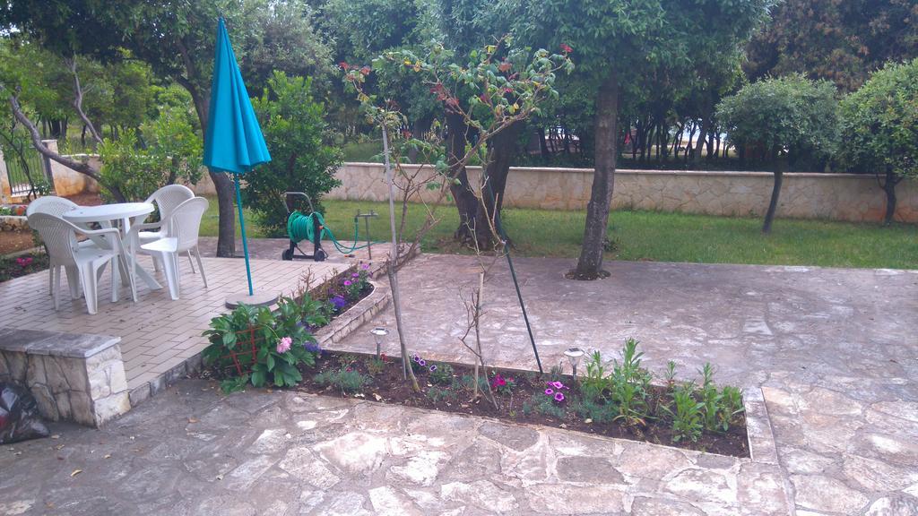 Apartment Basic Petrcane Exterior foto